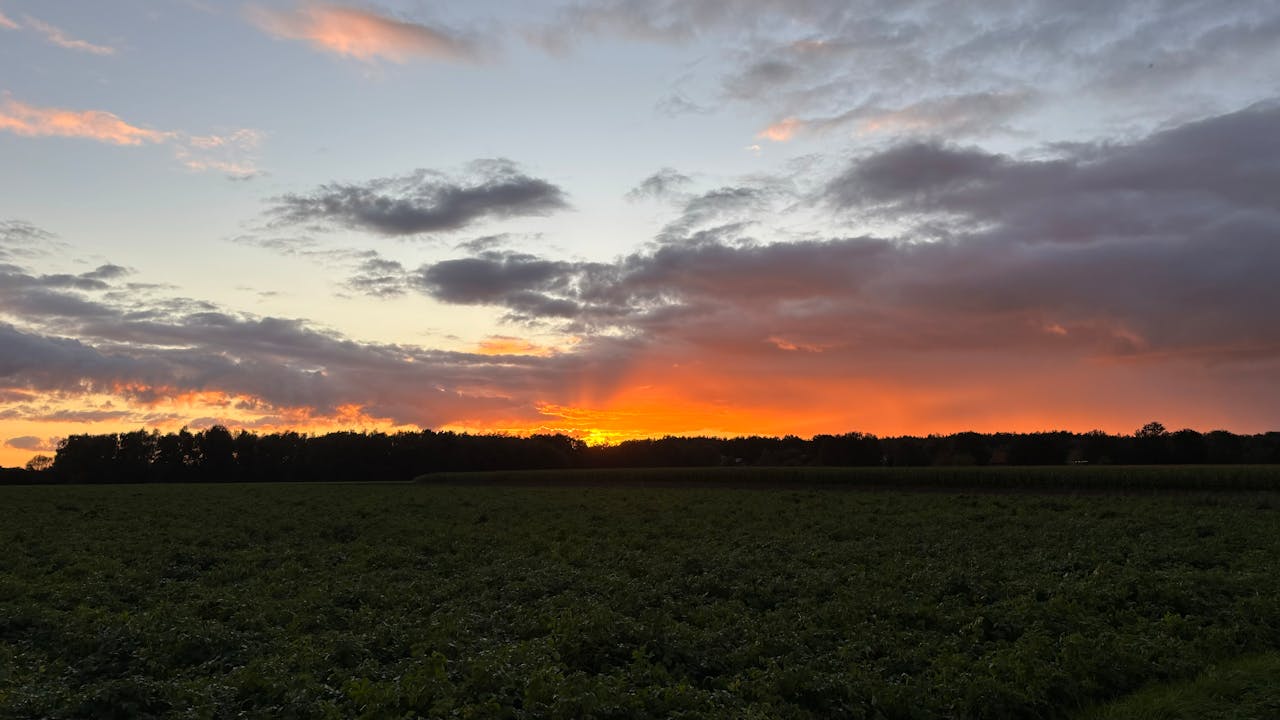 Zonsondergang
